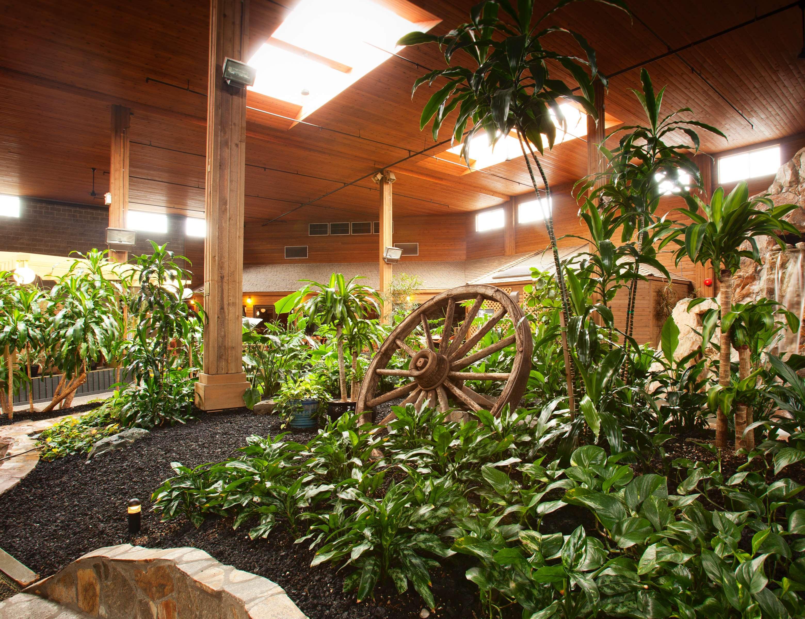 Best Western Premier Ashton Suites - Willowbrook Houston Luaran gambar